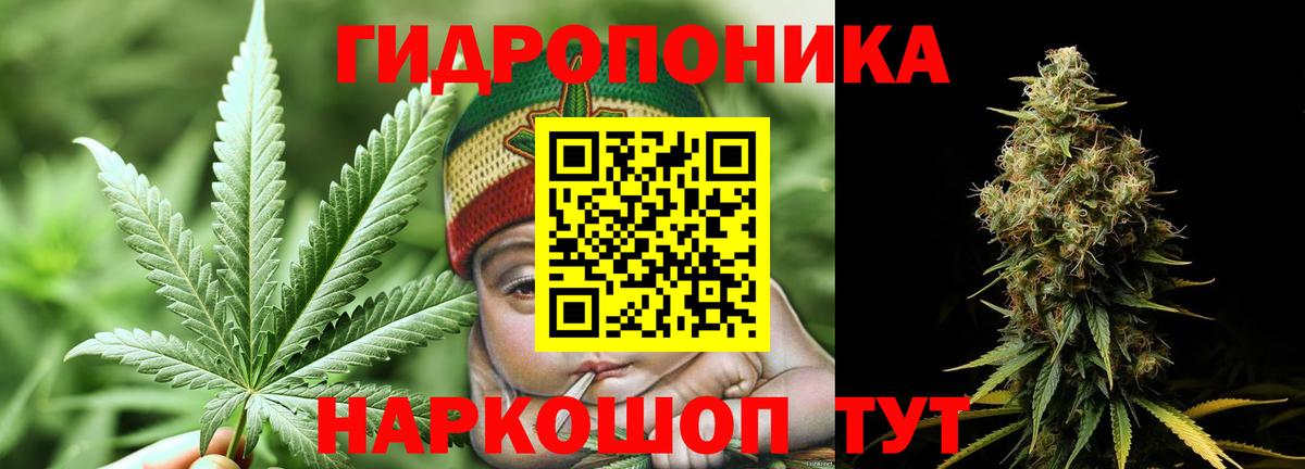 Артёмовский  Каннабис конопля  Бошки Шишки OG Kush  Каннабис OG Kush  Бошки Шишки конопля  Вход с VPN 